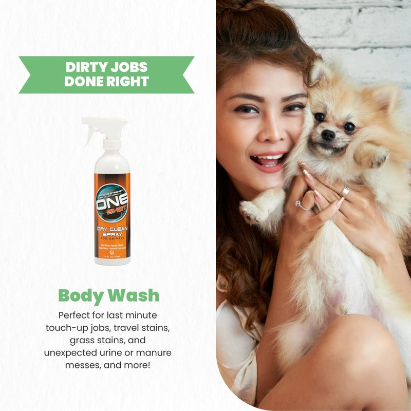 Best Shot One Shot Dry Clean Spray, Alcohol-Free Formula, Waterless Shampoo Spray for Pets, Safe for Dogs, Cats, and Horses, 16 Oz. - Image 3
